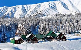 Gulmarg Woods By Stay Pattern